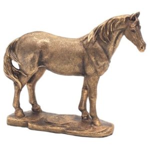 reflections bronze horse