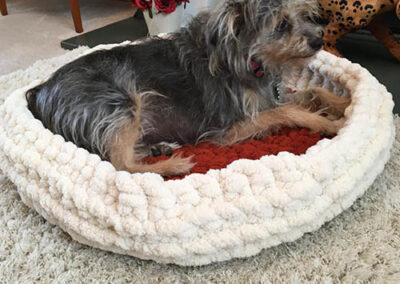 Pet Bed Rust and Cream