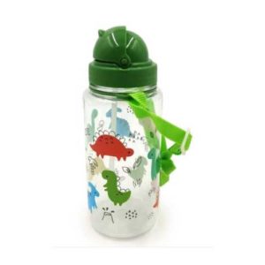 dinosaur water bottle