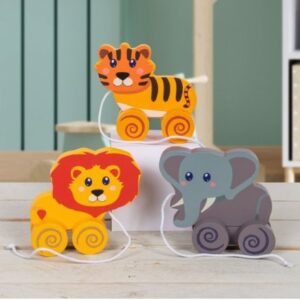 Pull Along Zoo Toy Lets Learn