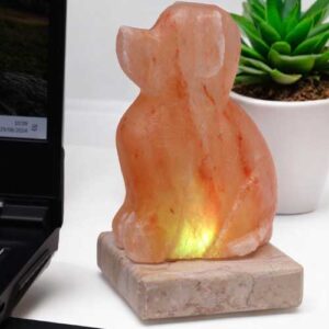 Dog Salt Lamp USB
