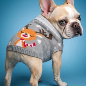 Christmas Reindeer Dog Coat